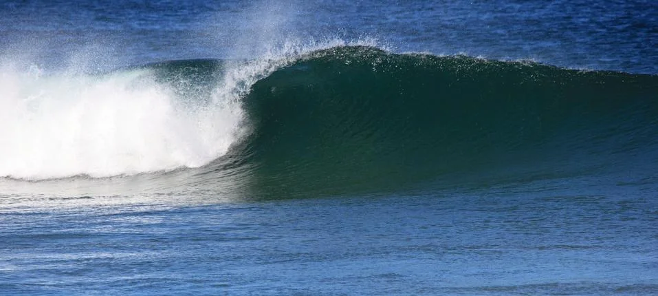 Wave III Photos