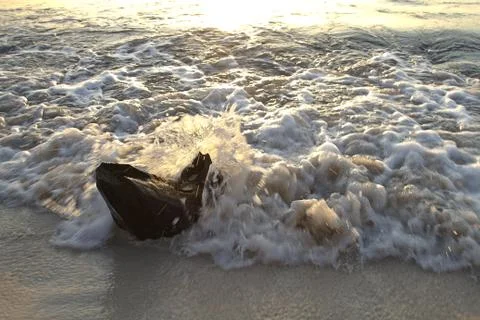 The wave it Stock-Fotos