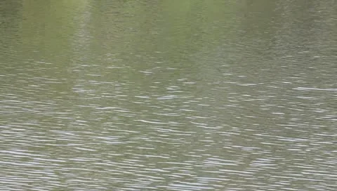 Wave in the lake Stock Footage 10729868