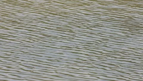 Wave in lake Stock Footage 10730369