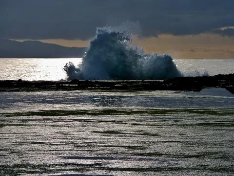 A WAVE OF LIFE Stock Photos