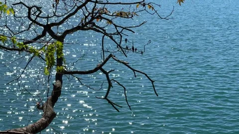 Wave light, Sun Moon Lake, Taiwan Stock Footage 262204721