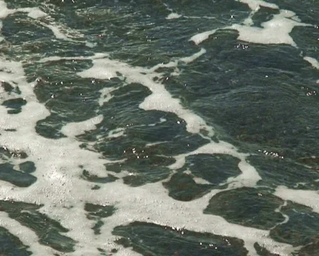 Wave-loop Stock Footage 512000