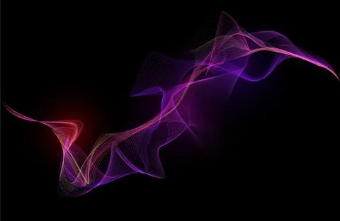 Wave of many lines flow purple gradient on black, vector abstract wavy stripes 스톡 일러스트