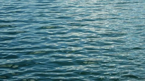Wave movement with calm ripples on the surface of the blue lake water Stock Footage 319968933