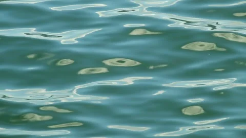 Wave movement with calm ripples on the surface of the blue lake water Stock Footage 319968934