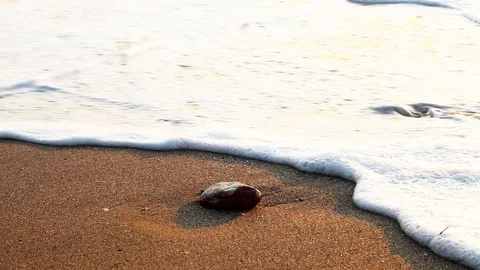 Wave Moving Rock On A Beach Stock Footage 93435492