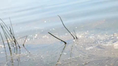 Wave of muddy water in slow motion. muddy water close up. slow motion lake water Stock Footage 309049903