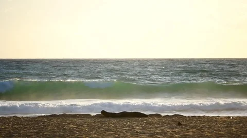 Wave or surf crashing on beach. in the tropical beach Stock Footage 82188599
