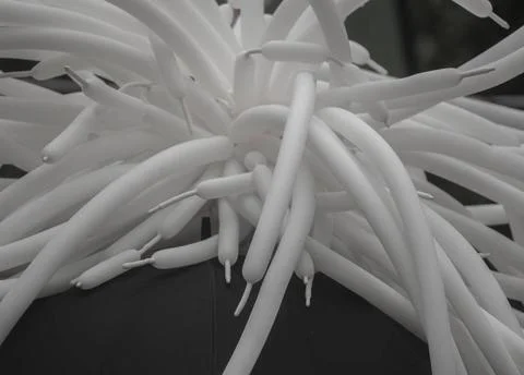  a wave or wavy shape, pattern and texture on a surface a wave or wavy sha... Stock Photos