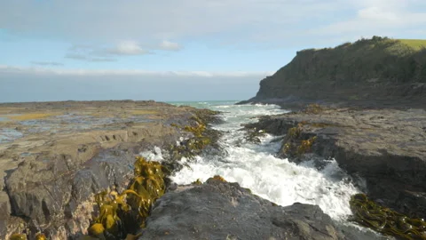 A wave passes between rocks and seaweed, in New Zealand Stock Footage 219170676