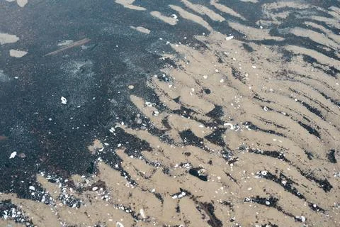 Wave pattern and shells in a sand on shallow water. Stock Photos