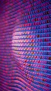 Wave pattern of apples.... Stock Photos