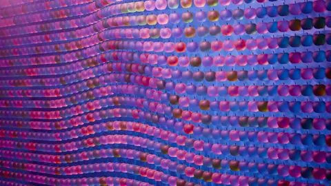 Wave pattern of apples.... Stock Photos