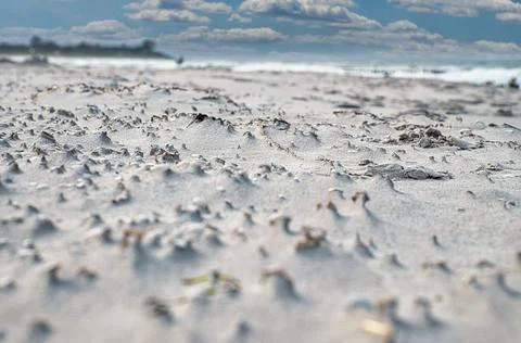 Wave pattern on beach of Baltic Sea. The waves leave a pattern in sand. Shells, Stock Photos