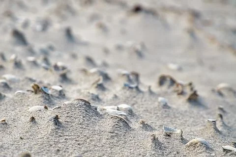 Wave pattern on the beach of the Baltic Sea. The waves leave a pattern in the Foto stock