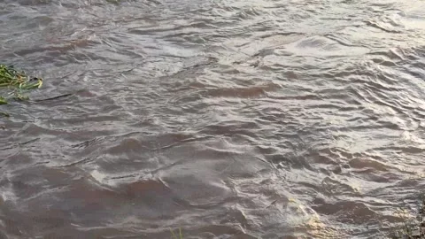 Wave pattern Video stock 268776358