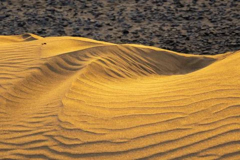 Wave pattern Maspalomas sand dunes Gran Canaria Canary Islands Spain Europe Stock Photos