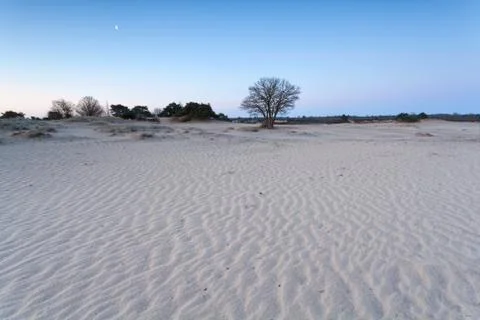 Wave pattern on sand and moon Stock Photos