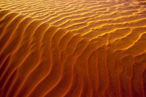 Wave pattern in the sand dunes of Erg Chegaga Morocco Africa 写真素材