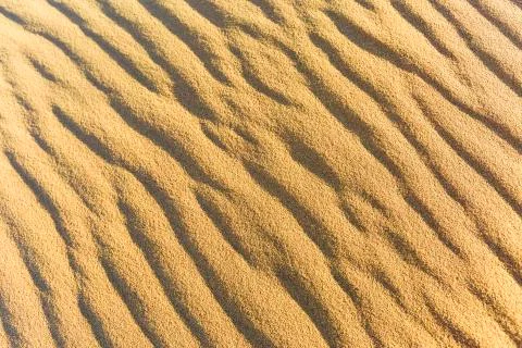 Wave pattern in the sand Namib Desert Namibia Africa 写真素材