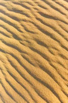 Wave pattern in the sand Namib Desert Namibia Africa 写真素材