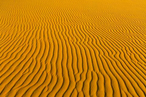 Wave pattern in the sand Namib Desert Namibia Africa 写真素材
