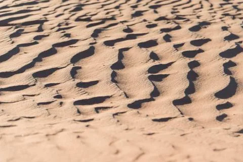 Wave pattern in the sand Sossusvlei Namib Naukluft National Park Namibia Africa 写真素材