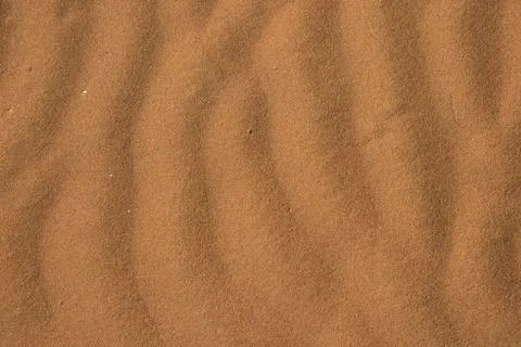 Wave pattern in the sand Sossusvlei Namib Naukluft Park Namibia Africa 写真素材