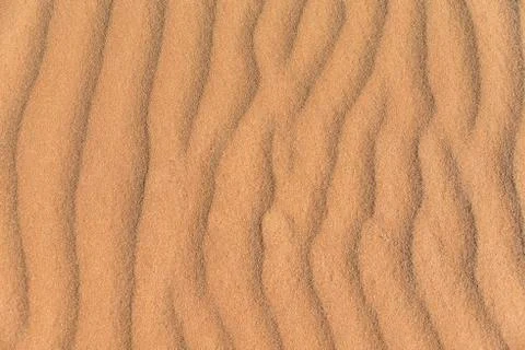Wave pattern in the sand Sossusvlei Namib Naukluft National Park Namibia Africa 写真素材