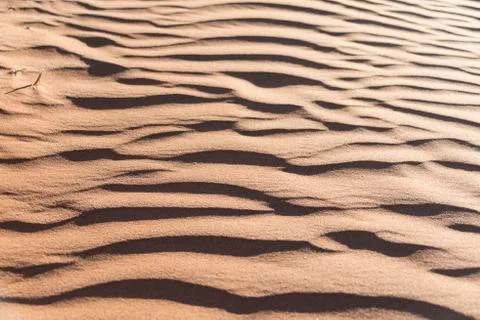 Wave pattern in the sand Sossusvlei Namib Naukluft National Park Namibia Africa 写真素材