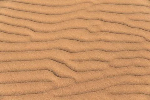 Wave pattern in the sand Sossusvlei Namib Naukluft National Park Namibia Africa 写真素材