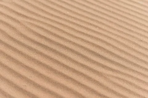 Wave pattern in the sand Sossusvlei Namib Naukluft National Park Namibia Africa 写真素材