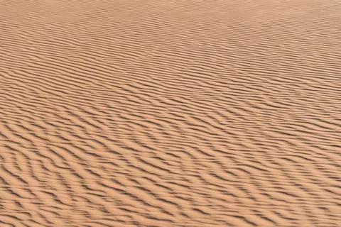 Wave pattern in the sand Sossusvlei Namib Naukluft Park Namibia Africa 写真素材