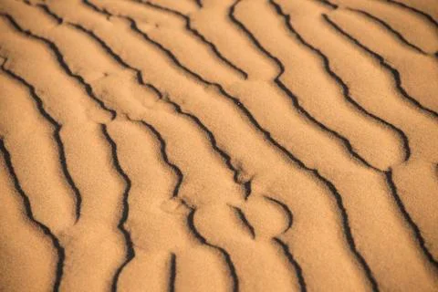 Wave pattern in the sand Sossusvlei Namib Naukluft Park Namibia Africa 写真素材