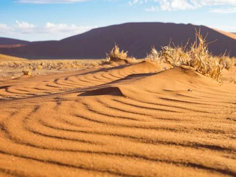 Wave patterns in the sand at the Dune 45, Sossusvlei, Namibia Stock Photos