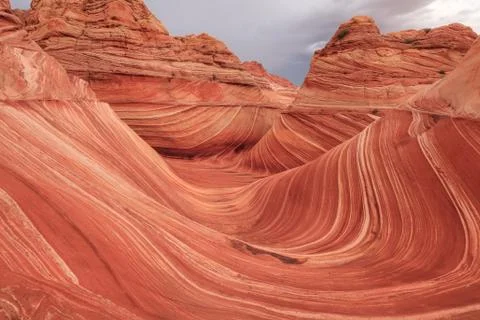 The Wave Stock Photos