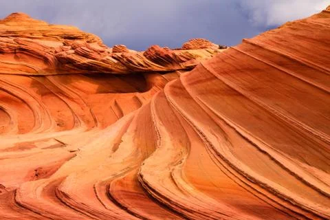 The Wave Stock Photos