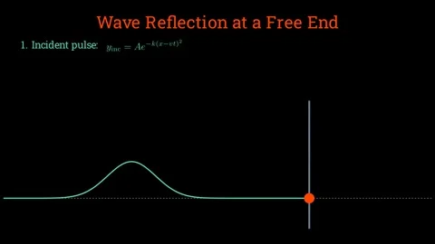 Wave Reflection at a Free End Stock Footage 335764604