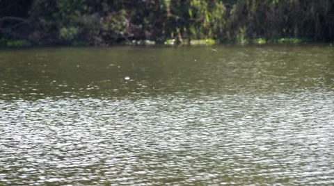 Wave in the reservoir Stock Footage 47793202