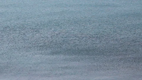 Wave on ripple surface water Video stock 96338644