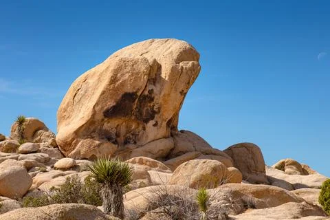 Wave rock Stock Photos