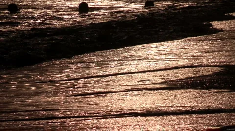 Wave rolls on the beach  Stock Footage 1215067