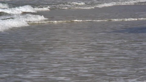 Wave rolls over the shore with seashells Stock Footage 89332934