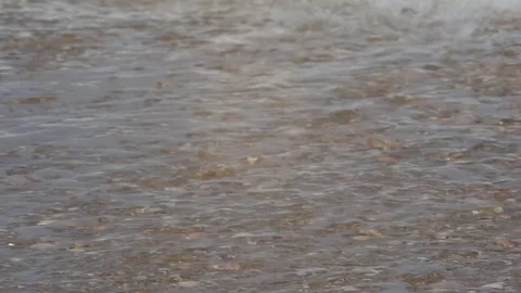 Wave rolls over the shore with seashells Stock Footage 89333112