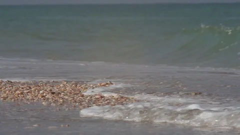 Wave rolls over the shore with seashells Stock Footage 89333757