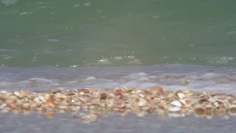 Wave rolls over the shore with seashells Stock Footage 89334088