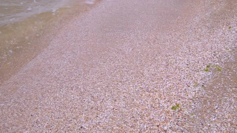 The wave rolls slowly towards the shore Stock Footage 163261857