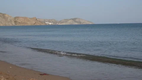 A wave runs over a seashell beach Stock Footage 167064334