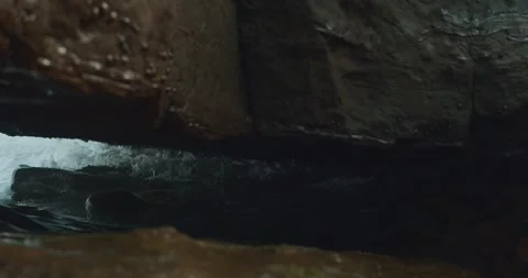 Wave rush Stock Footage 247524787